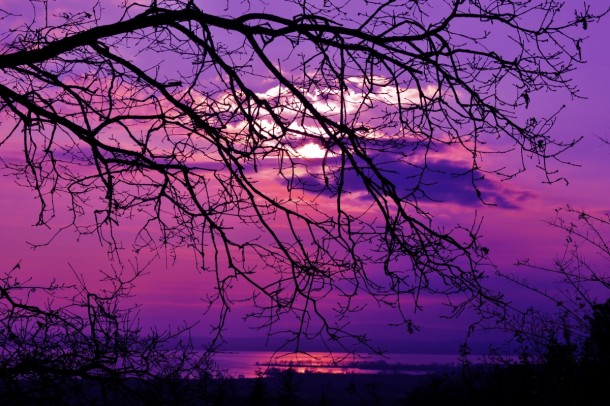 purple_sunset_violet_sunset_landscape_nature_twilight_lake-911945.jpg!d